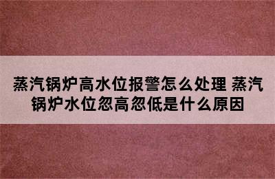 蒸汽锅炉高水位报警怎么处理 蒸汽锅炉水位忽高忽低是什么原因